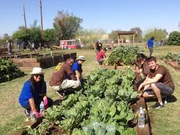 *less land was cleared for farming.* *population increased.* trade and industry grew. A New Model Of Agricultural Land Protection Arizona Community Land Trust