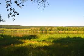 It is situated in the middle of the largest forest in moldova, codrii moldovei. Ce Mai Fac Codrii Sau O Plimbare PanÄƒ La Iazul Dintre Ulmu È™i Horodca Moldova