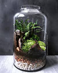 This Piece Was A Custom Request For A Fern Moss Terrarium In A Large 16 High Jar I Started With Layered Substrate An Jardin Bocal Jardin De Verre Deco Jardin