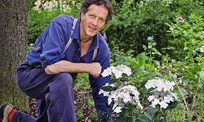 Monty Don Reveals How To Keep Hydrangeas Happy Monty Don Hydrangea Care Hydrangea