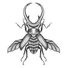 Beetle Bug Tattoo Insect Tattoo Beetle Tattoo