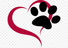 We found for you 15 animal shelter clipart png images with total size: Cat And Dog Cartoon Clipart Dog Cat Nose Transparent Clip Art
