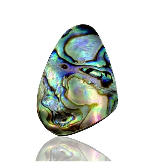  Abalone Shell stone online