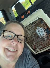 Jenny taking a nap while trying to keep her arm straight. I laugh every  time I watch her do this! Life is so good with rescue dogs from Almost Home  Dog Rescue