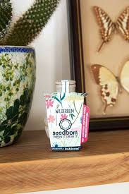 Just like other succulents, cacti need water for their survival. Kabloom Wilderbom Seedbom Urban Outfitters Uk