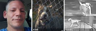 2024 Fatal Dog Attack Breed Identification Photographs