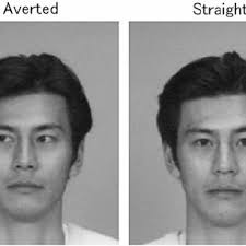Framework of proposed spatial denoising method