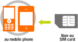 Most of them work in the same way: Sim Unlocking Procedures Smartphone Or Mobile Phone Users Au