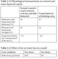 The tympanic temperature range is higher than the oral range by up to 0.7°c, and so the rectal temperature is also a common site for temperature measurement, despite the following disadvantages: Answered How Do Camels Differ From The Other Bartleby