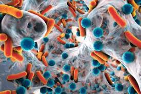 Navzdol Podrobno Vzemi Dol How Long Do Antibiotics Stay In Your Body Hotel Landmann Com