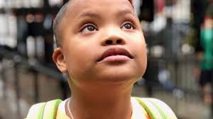 Fundraiser by Courtney Haas : Pedro's Fund