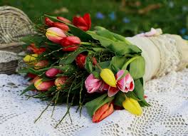 We did not find results for: Alles Gute Zum Frauentag Muritzportal