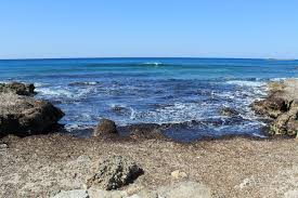 Image result for ugento