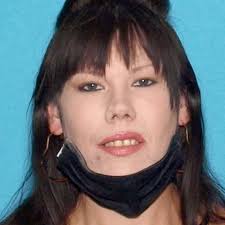 2 Arrested after Redding storage facility burglary