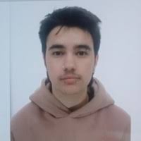 50+ "Michael Villena" profiles