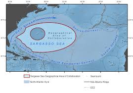 Even The Bermuda Triangle Has A Plastic Problem Greenpeace International