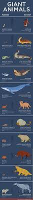 Animals Then And Now Funsubstance Giant Animals Prehistoric Animals Ancient Animals