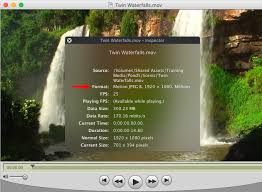 To play dvd, download mpeg2 codec; How To Determine What Codecs Your Media Uses Larry Jordan