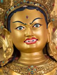 Best tara diamond jewellery Factory Sale Tara residents still rebuilding  homes as delays slow bushfire recovery