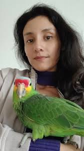 #loros #alimentacionsaludable ¿Que comen los loro? , La semilla de girasol  también les causa problemas en el hígado., Si ves algún comportamiento  extraño en tu ave de compañía, es importante que ...