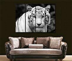 I Want The White Tiger In My Room Cuadros Animales Colores