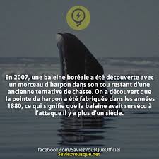 Epingle Par Jade Vergniault Sur Citations Saviez Vous Que Faits Interessants Le Savier Vous