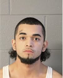 ᐅ Illinois Criminal Records 2009-2025