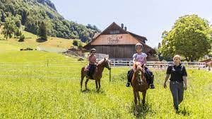 המלון כולל שירות חדרים ושוער. Swiss Holiday Park Stoos