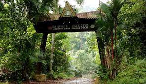 Air terjun pemalang dengan pemandangan curug yang indah air jernih dingin deras dan asri akses mudah di jangkau kendaraan sangat cocok untuk lalu di mana sajakah destinasi tempat wisata air terjun / curug terbaik di pemalang? Air Terjun Gunung Pulai 1 Ditutup