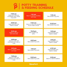 Plus, there's the one your puppy received from the breeder or animal shelter. Potty Training Feeding Schedule Potty Training Schedule Potty Training Train