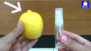 Eksperimen Cara Membuat Parfum Buah Lemon 27 Youtube