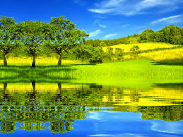 The word habitat has been in use since about 1755 and derives from the latin habitāre, to inhabit, from habēre, to have or to hold.habitat can be defined as the natural environment of an organism, the type of place in which it is natural for it to live and grow. Esa To Potentially Reflect A New Habitat Definition Under Proposal
