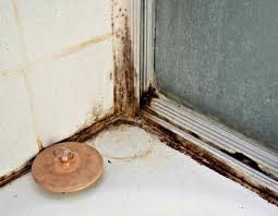 black mold in your bathroom