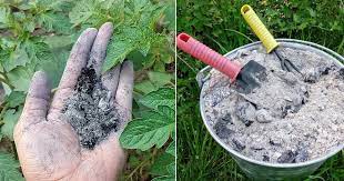 My grandfather used to spread his ashes from the wood stove on his garden. 22 Helpful Wood Ash Uses In The Garden Balcony Garden Web