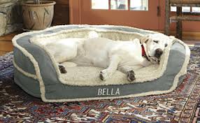 Best large dog beds uk. Large Dog Bed Orvis Uk