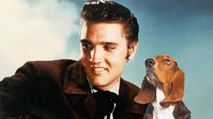John Moe's Pop Song Correspondences: A Letter to Elvis Presley From His Hound  Dog