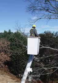 Attic insulation removal and reapplication. Tree Service Buford Ga Tree Removal Service