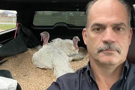 TURKEYS