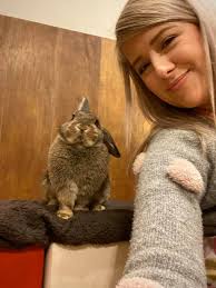 One more sorry...but did you know there is a rabbit cafe in Japan?! Lol I  stumbled into the bunny videos