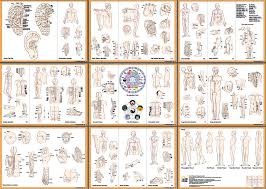 The Body Meridians An Energy Map