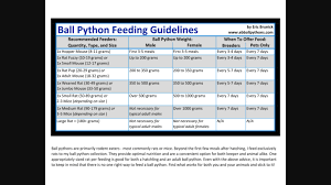 our first ball pythons page 2