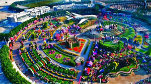 We did not find results for: Dubai Miracle Garden