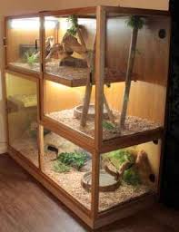 Looking for some major inspiration for your beardie's cage? Bearded Dragon Habitat Diy Facts