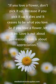 The seed cannot know what is going to happen, the seed has never known the flower. If You Love A Flower Don T Pick It Up Because If You Pick It Up It Dies And It Ceases To Be What You Love So Love Nature Quotes Osho Quotes