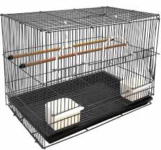 The pampered flying squirrel cage is a perfect starter cage. Bird Cages Buy Bird Cages Online At Best Prices In India Flipkart Com