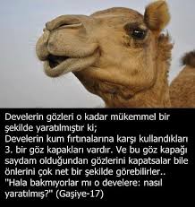 Allah U Ekber Allahumme Salli Ala Seyyidina Muhammedin Ve Lailaheillallah 571 Biliyor Muydunuz Bilissel Psikoloji Bilgi Alintilari