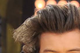 I demonstrate both hairstyles that harry styles has. 27 Times Harry Styles Hair Cried Out For Help