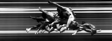 Buy kirifly artificial flowers, fake peony silk hydrangea bouquet decor plastic carnations realistic flower arrangements wedding decoration table centerpieces 2 packs (light purple): The Photography Of George Silk Life