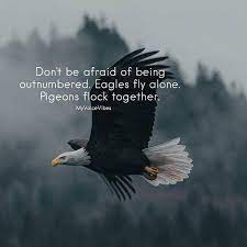 Don T Be Afraid Of Being Outnumbered Eagles Fly Alone Pigeons Flock Together Eagles Quotes Fly Quotes Fear Of Flying