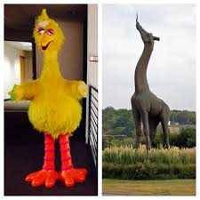 My friend even got her toes licked by a giraffe 😆 great experience and it was only $68 for 4 adults and 5 kids (+an. Kera News On Twitter Big Bird And Big Giraffe Dallas Zoo S Big Giraffe Sculpture Will Be Getting A Companion Who What Should It Be Http T Co Nvjzoeiby8